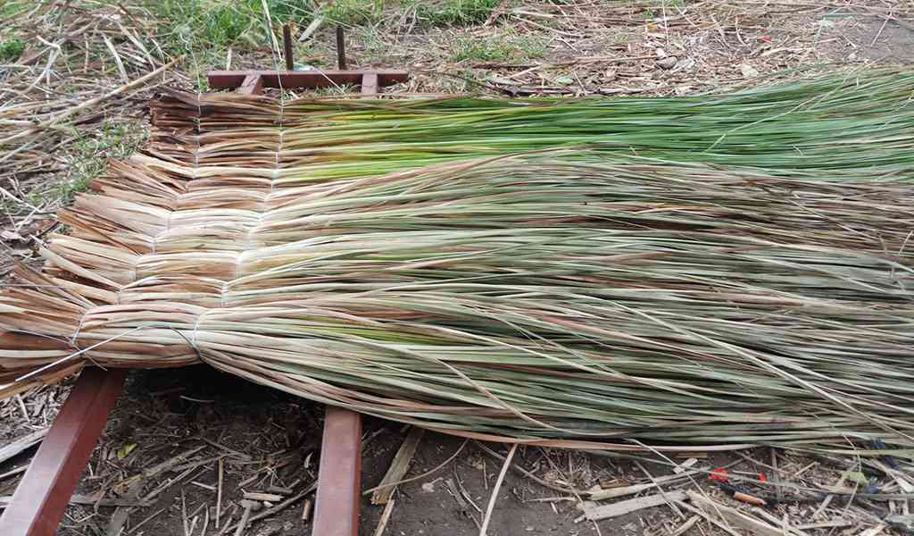 Çin Otu Hasır Çatı Örtüsü
